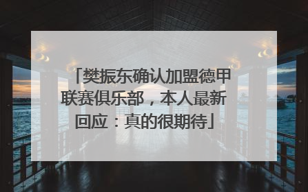 樊振东确认加盟德甲联赛俱乐部，本人最新回应：真的很期待